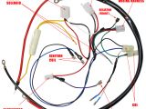 Hammerhead Go Kart Wiring Diagram Engine Wiring Harness for Gy6 150cc Engine