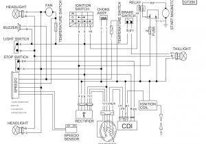 Hammerhead Go Kart Wiring Diagram Trailmaster 150 Wiring Diagram Kobe Praha Klictravel Nl