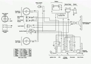 Hammerhead Gt 150 Wiring Diagram Dune Buggy Engine Schematics Wiring Diagram