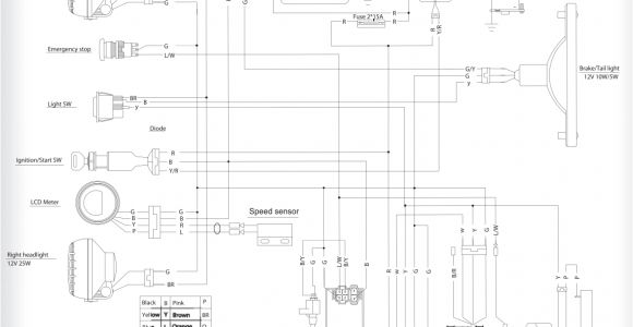 Hammerhead Gt 150 Wiring Diagram Dune Buggy Engine Schematics Wiring Diagram
