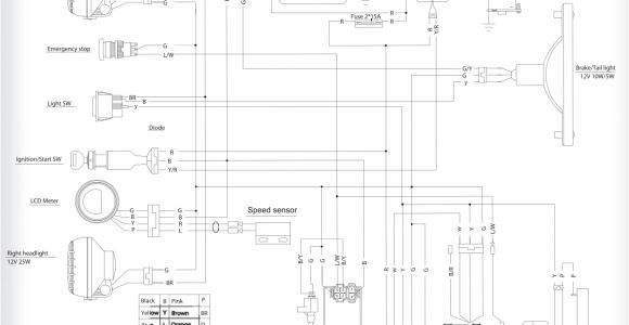 Hammerhead Gt 150 Wiring Diagram Dune Buggy Engine Schematics Wiring Diagram