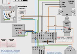 H&amp;h Trailer Wiring Diagram H Amp H Trailer Wiring Diagram Wiring Diagrams