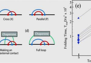 H&amp;h Trailer Wiring Diagram H Amp H Trailer Wiring Diagram Wiring Diagrams