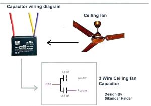 Hampton Bay Ceiling Fans Wiring Diagram Hampton Bay 3 Sd Fan Wiring Diagram Hampton Bay Remote Battery