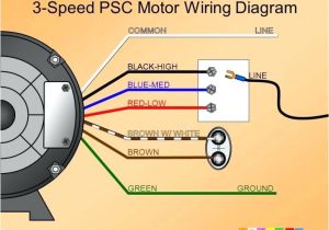 Hampton Bay Wiring Diagram Remote Ceiling Fan Motor Circuit Diagram 3 Speed Wiring Hunter Light Hampton Bay Wiring Diagram Remote Ceiling Fan Motor Circuit Diagram 3 Speed Wiring Hunter Light