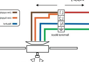 Harbor Breeze Ceiling Fan with Remote Wiring Diagram Diagram Of Animal Cell Structure Harbor Breeze Ceiling Fan Capacitor