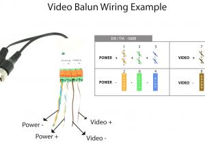 Harbor Freight Security Camera Wiring Diagram Cctv 12v Wiring Diagram Wiring Diagram Preview Harbor Freight Security Camera Wiring Diagram Cctv 12v Wiring Diagram Wiring Diagram Preview