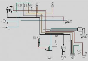 Harley Davidson Handlebar Switch Wiring Diagram 1998 Harley Davidson Wiring Diagram Blog Wiring Diagram