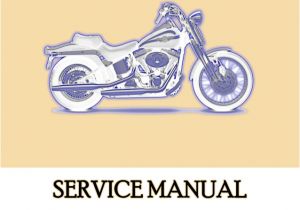Harley Davidson Heated Grips Wiring Diagram 2002 Harley Davidson softail Service Repair Manual
