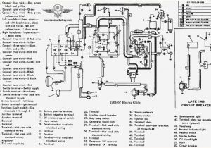 Harley Davidson Radio Wiring Harness Diagram 2006 Harley Davidson Engine Diagram Wiring Diagram Perfomance Harley Davidson Radio Wiring Harness Diagram 2006 Harley Davidson Engine Diagram Wiring Diagram Perfomance