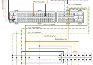 Harley Davidson Radio Wiring Harness Diagram Wiring Harness Diagram On Harley Davidson Wiring Harness for Radio Harley Davidson Radio Wiring Harness Diagram Wiring Harness Diagram On Harley Davidson Wiring Harness for Radio