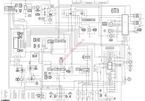 Harley Davidson Stereo Wiring Diagram Harley Davidson Radio Wiring Diagram Free Wiring Diagram Harley Davidson Stereo Wiring Diagram Harley Davidson Radio Wiring Diagram Free Wiring Diagram