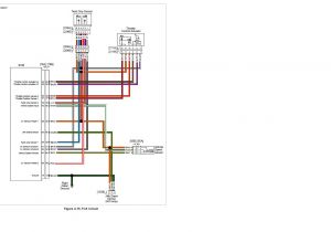 Harley Davidson Throttle by Wire Diagram 7eeffac Harley Davidson Cruise Control Wiring Diagram Harley Davidson Throttle by Wire Diagram 7eeffac Harley Davidson Cruise Control Wiring Diagram
