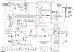 Harley Davidson Wiring Diagram Free Harley Davidson Wiring Diagrams Lovely Free Harley Davidson