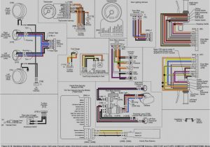 Harley Front Turn Signal Wiring Diagram 35 Badlands Turn Signal Module Wiring Diagram Wiring Harley Front Turn Signal Wiring Diagram 35 Badlands Turn Signal Module Wiring Diagram Wiring