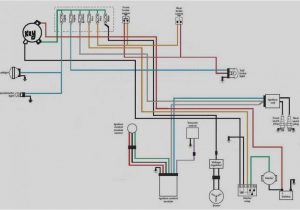 Harley Front Turn Signal Wiring Diagram Harley Davidson Turn Signal Module Wiring Diagram Harley Front Turn Signal Wiring Diagram Harley Davidson Turn Signal Module Wiring Diagram