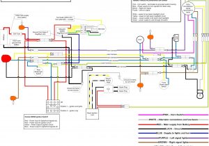 Harley Front Turn Signal Wiring Diagram Harley Davidson Turn Signal Module Wiring Diagram Harley Front Turn Signal Wiring Diagram Harley Davidson Turn Signal Module Wiring Diagram