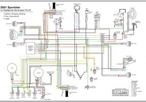 Harley Front Turn Signal Wiring Diagram Harley Davidson Turn Signal Module Wiring Diagram $ Www Harley Front Turn Signal Wiring Diagram Harley Davidson Turn Signal Module Wiring Diagram $ Www