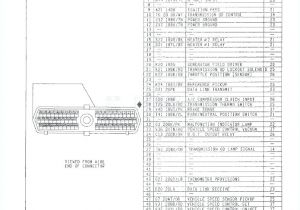 Harley Throttle by Wire Diagram Harley Davidson Radio Wiring Diagram Bcberhampur org Harley Throttle by Wire Diagram Harley Davidson Radio Wiring Diagram Bcberhampur org