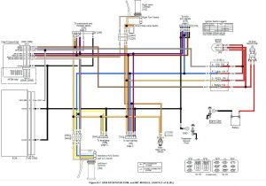 Harley Throttle by Wire Diagram Harley Diagram Voeswiring Wiring Diagram Standard
