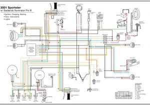 Harley Wiring Diagrams Simple Harley Headlight Wiring 81 Free Download Diagram Schematic Wiring Harley Wiring Diagrams Simple Harley Headlight Wiring 81 Free Download Diagram Schematic Wiring