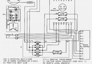 Hatco Glo Ray Wiring Diagram Hatco Wiring Diagram Auto Electrical Wiring Diagram