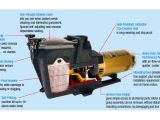 Hayward Pool Pump Motor Wiring Diagram Amazon Com Hayward Sp2610x15 Super Pump 1 5 Hp Pool Pump