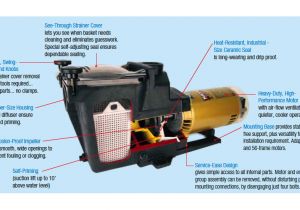 Hayward Pool Pump Motor Wiring Diagram Amazon Com Hayward Sp2610x15 Super Pump 1 5 Hp Pool Pump