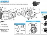 Hayward Pool Pump Motor Wiring Diagram Hayward Super Ii Pump Parts Hayward Pump Parts Diagram