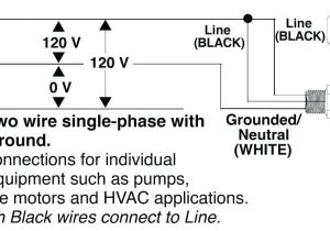 Hayward Pool Pump Motor Wiring Diagram Pool Pump Wiring Buymyhousefast