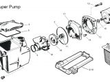 Hayward Pool Pump Motor Wiring Diagram Super Pump Wiring Diagram Wiring Diagram Database