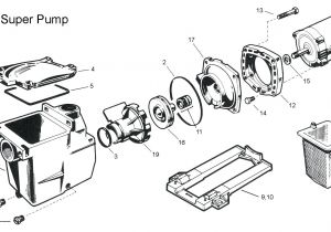 Hayward Pool Pump Motor Wiring Diagram Super Pump Wiring Diagram Wiring Diagram Database