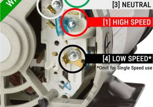 Hayward Pool Pump Wiring Diagram 4 Hp Hydromaster Spa Pump 2 In Out 56fr 240v