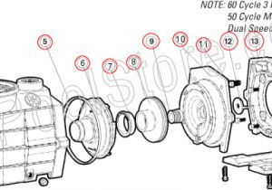 Hayward Pool Pump Wiring Diagram Wiring Diagram for Hayward Pool Pump Diagram Base Website