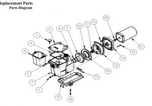Hayward Super Pump 1.5 Hp Wiring Diagram Amazon Com Hayward Sp2610x15 Super Pump 1 5 Hp Pool Pump Hayward Super Pump 1.5 Hp Wiring Diagram Amazon Com Hayward Sp2610x15 Super Pump 1 5 Hp Pool Pump