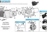 Hayward Super Pump 1.5 Hp Wiring Diagram Hayward Super Ii Pump Parts Hayward Pump Parts Diagram