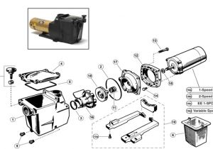 Hayward Super Pump 1.5 Hp Wiring Diagram Horizon Spa Pool Parts Inc Hayward Super Pump 1.5 Hp Wiring Diagram Horizon Spa Pool Parts Inc