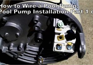 Hayward Super Pump Wiring Diagram 115v Wiring Pentair Pool Pump Wiring Diagram for You Hayward Super Pump Wiring Diagram 115v Wiring Pentair Pool Pump Wiring Diagram for You