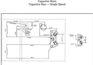 Hayward Super Pump Wiring Diagram 230v Emerson 1081 Wiring Diagram 230v Schematic Diagram Database Hayward Super Pump Wiring Diagram 230v Emerson 1081 Wiring Diagram 230v Schematic Diagram Database