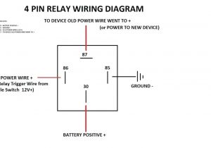 Hella Lights Wiring Diagram Hella Relay Wiring Diagram Wiring Diagram Article Review