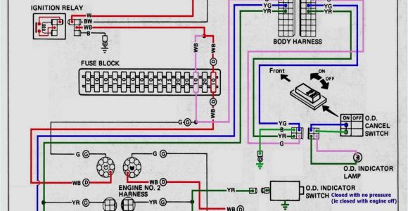 Hella Supertone Wiring Diagram Hella Supertone Horn Wiring Diagram Wiring Diagrams