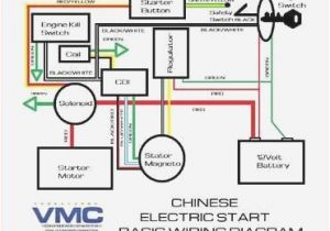 Hensim atv Wiring Diagram 50cc Wiring Diagram Wiring Diagram Val