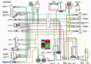 Hensim atv Wiring Diagram Roketa 150cc Wiring Diagram Wiring Diagram User
