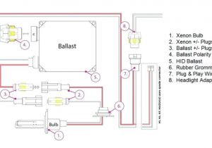 Hid Miniprox Wiring Diagram Hid Wiring Diagrams Wiring Diagram Schematics Hid Miniprox Wiring Diagram Hid Wiring Diagrams Wiring Diagram Schematics