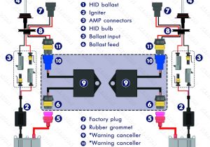 Hid V100 Wiring Diagram Hid Wiring Diagram Wiring Diagram New