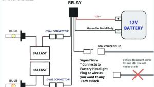Hid Wiring Diagram with Relay Hid Kit Headlight Relay Wiring Diagram Wiring Diagram Blog