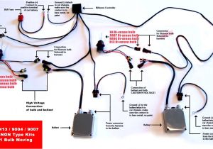 Hid Wiring Diagram with Relay Wiring Diagram for Hid Lights Wiring Diagram Database