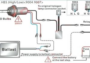 Hid Xenon Lights Wiring Diagram Bmw Xenon Light Wiring Diag Data Schematic Diagram
