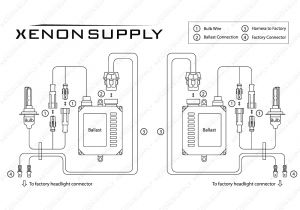 Hid Xenon Lights Wiring Diagram Hid Wiring Diagrams Dodge Data Schematic Diagram Hid Xenon Lights Wiring Diagram Hid Wiring Diagrams Dodge Data Schematic Diagram
