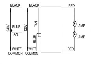 High Pressure sodium Ballast Wiring Diagram Hps Wiring Diagram Wiring Diagram